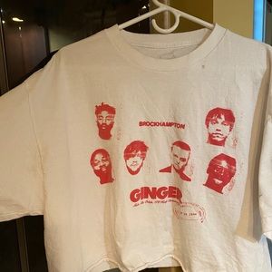 Cropped Brockhampton T Shirt